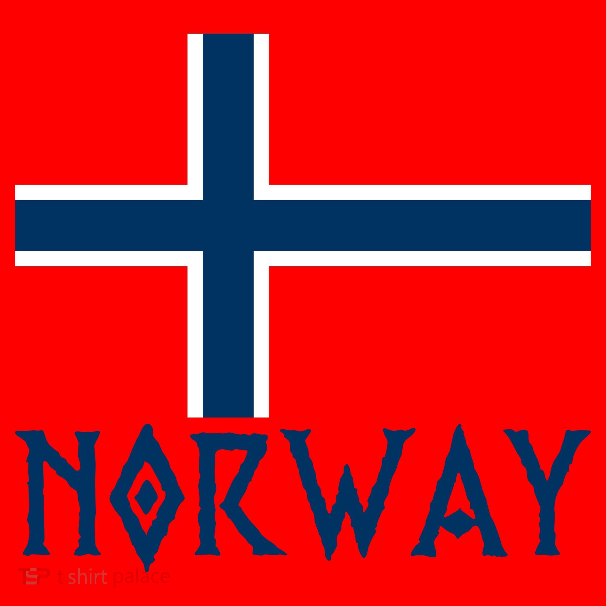 Norway Flag Proud Norwegians Soccer Fan Santa Hat