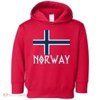 Norway Flag Proud Norwegians Soccer Fan Toddler Hoodie thumb 0