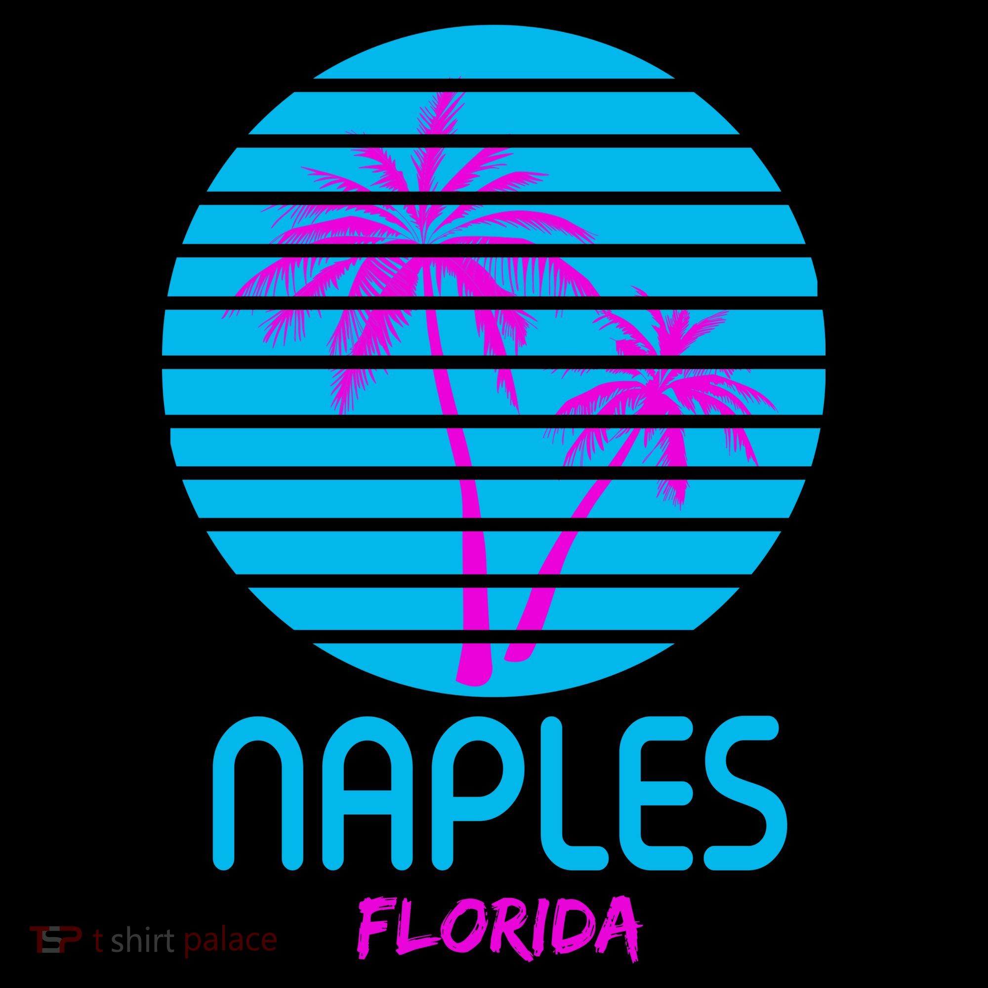 Naples Florida Retro Palm Tree Sunset Toddler Hoodie