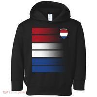 Nederland Flag Sport Logo Toddler Hoodie thumb 0