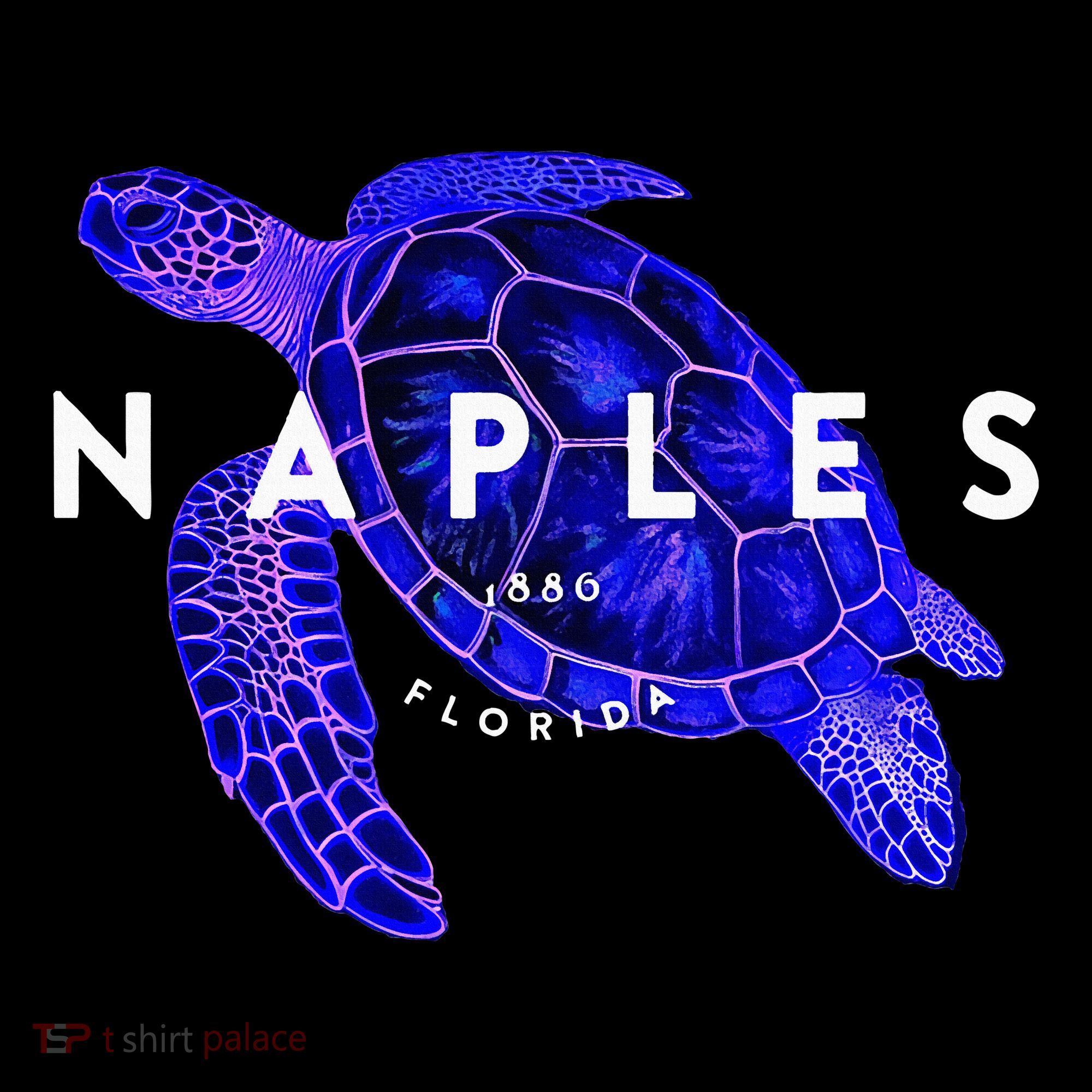 Naples Florida Sea Turtle Scuba Dive Retro Vacation Beach Women's Hoodie