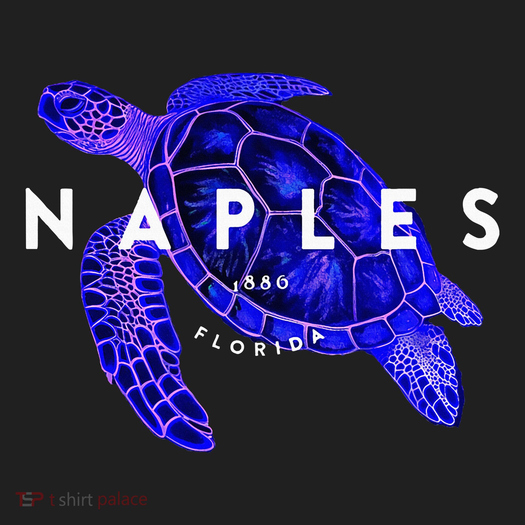 Naples Florida Sea Turtle Scuba Dive Retro Vacation Beach Hat