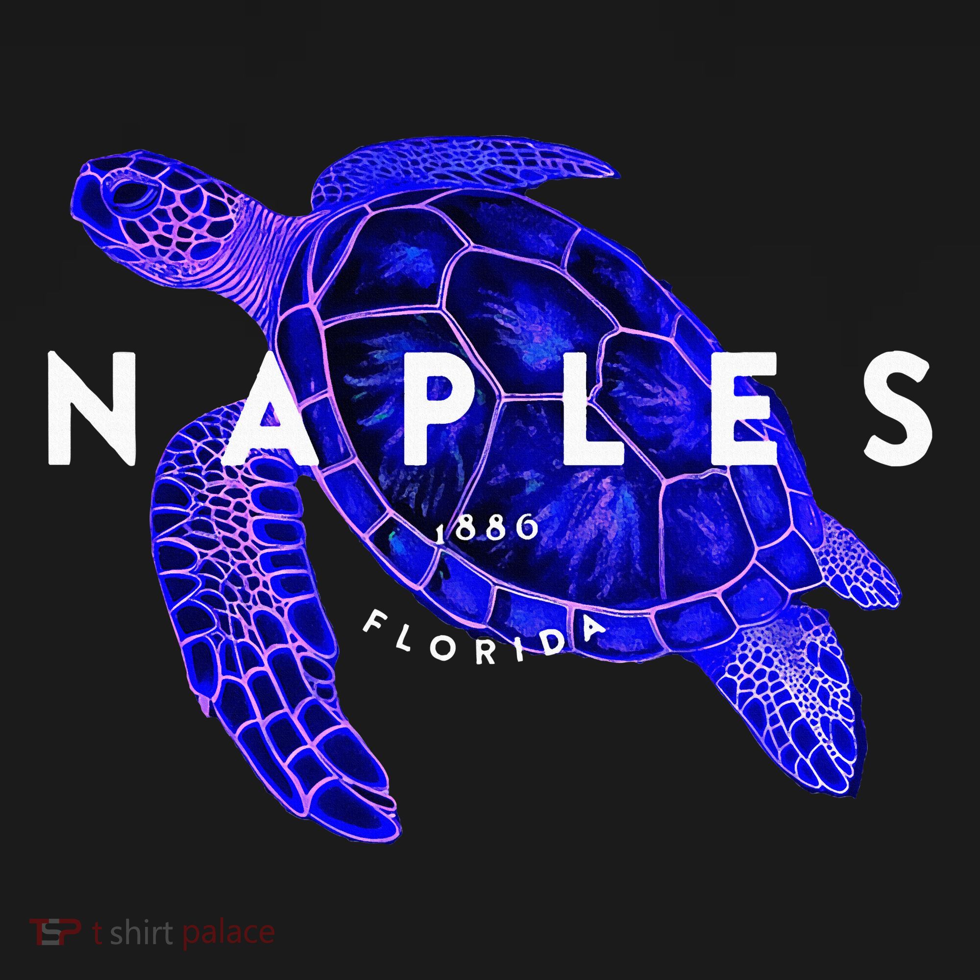 Naples Florida Sea Turtle Scuba Dive Retro Vacation Beach Visor