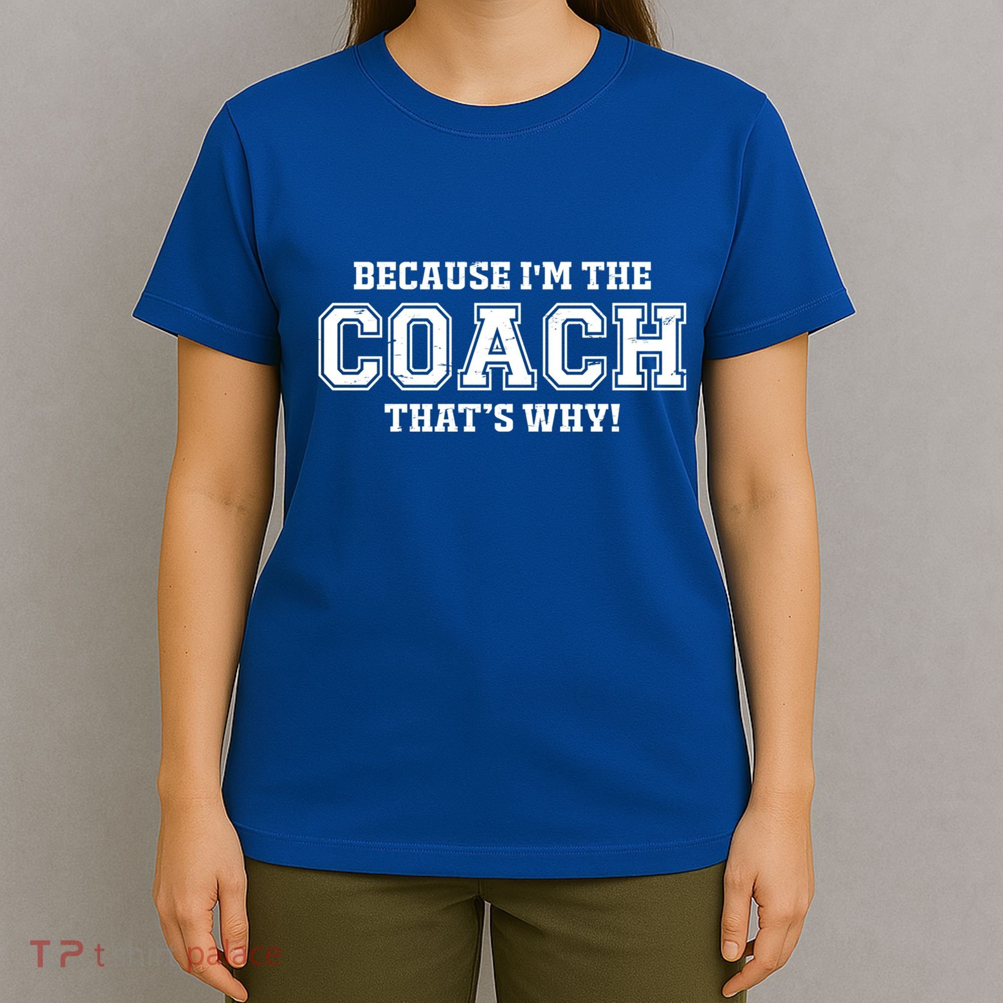 Novelty For Sports Coaches Hooded Great Gift T-Shirt