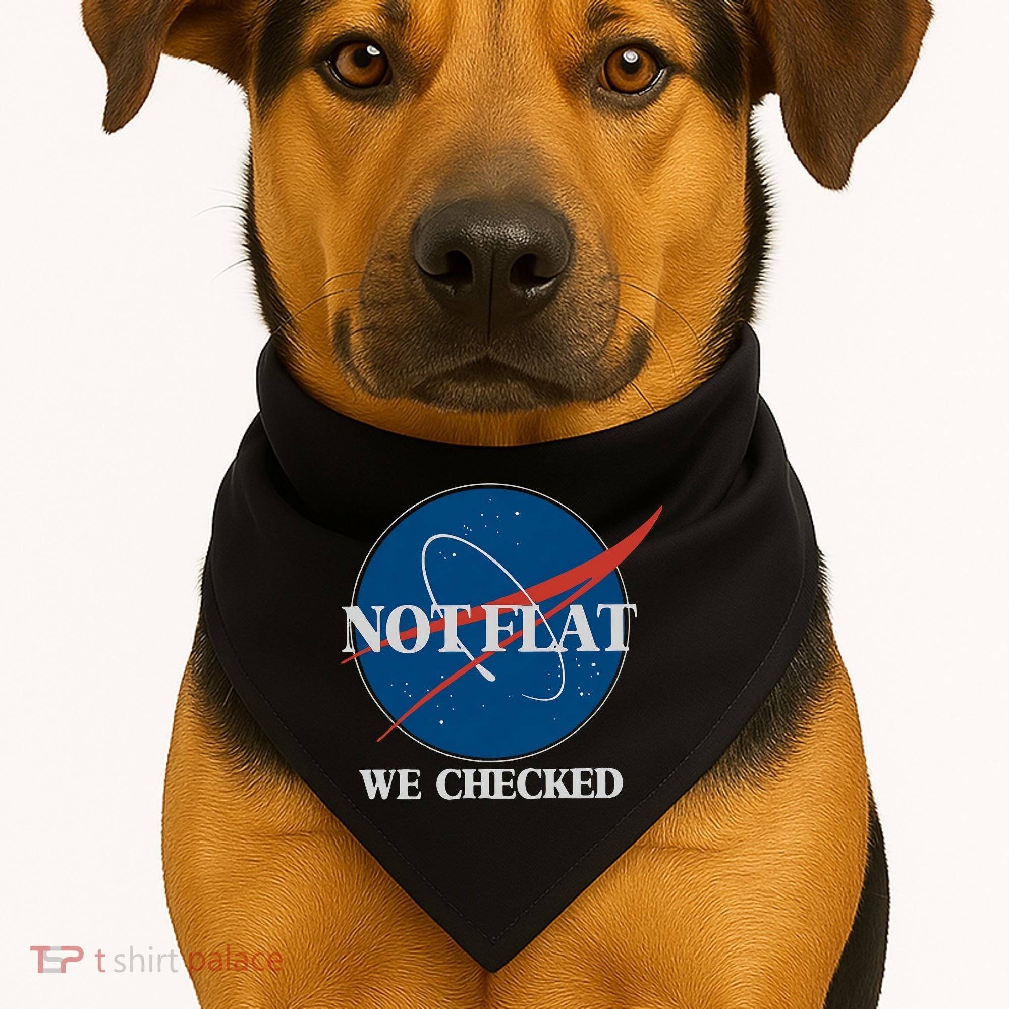 Not Flat We Checked Earth Is Flat Funny Conspiracy Globe Lie Space USA-Made Doggie Bandana