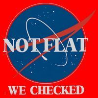 Not Flat We Checked Earth Is Flat Funny Conspiracy Globe Lie Space Santa Hat thumb 1