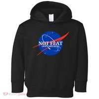 Not Flat We Checked Nasa Anti Flat Earth Toddler Hoodie thumb 0