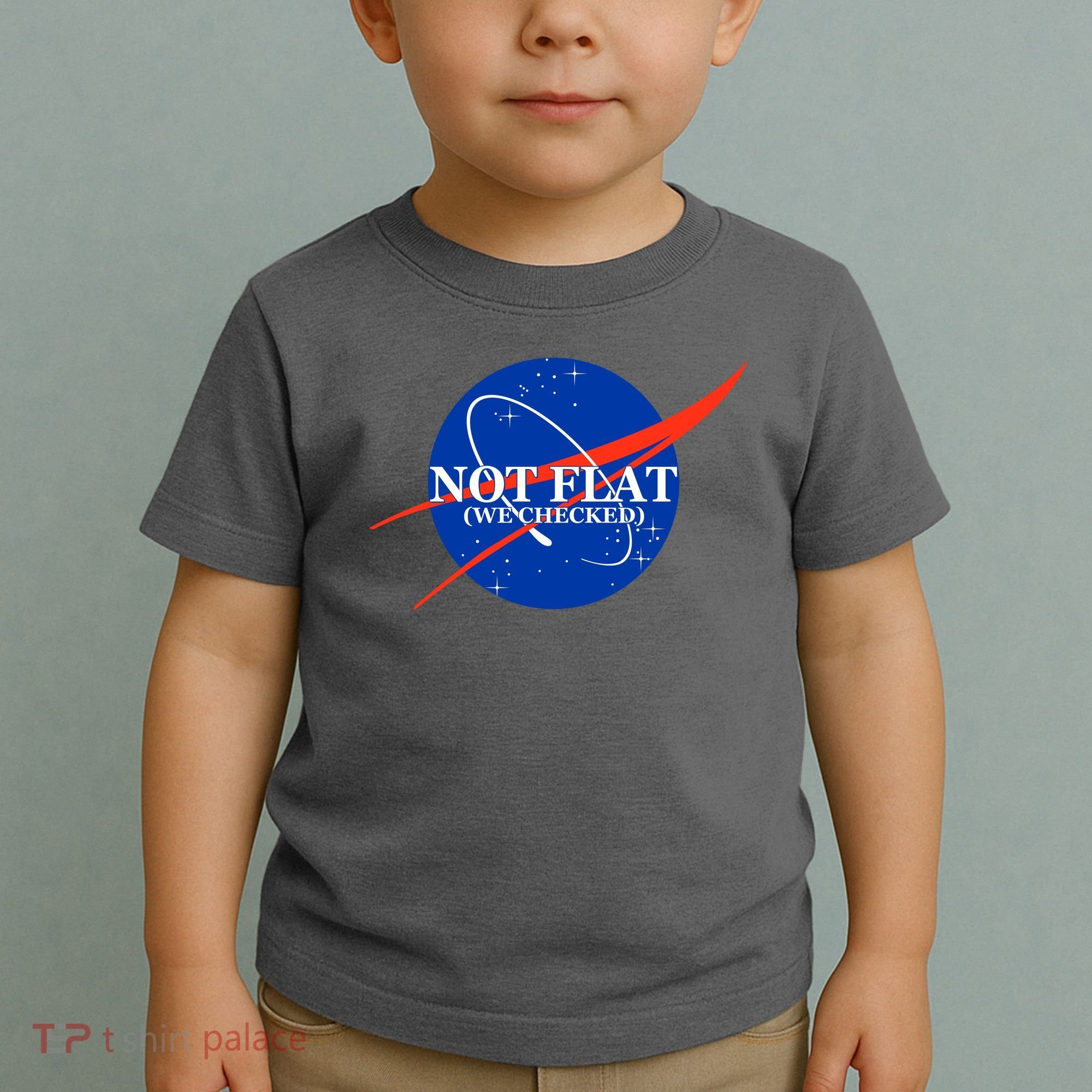 Not Flat We Checked Nasa Anti Flat Earth Toddler T-Shirt