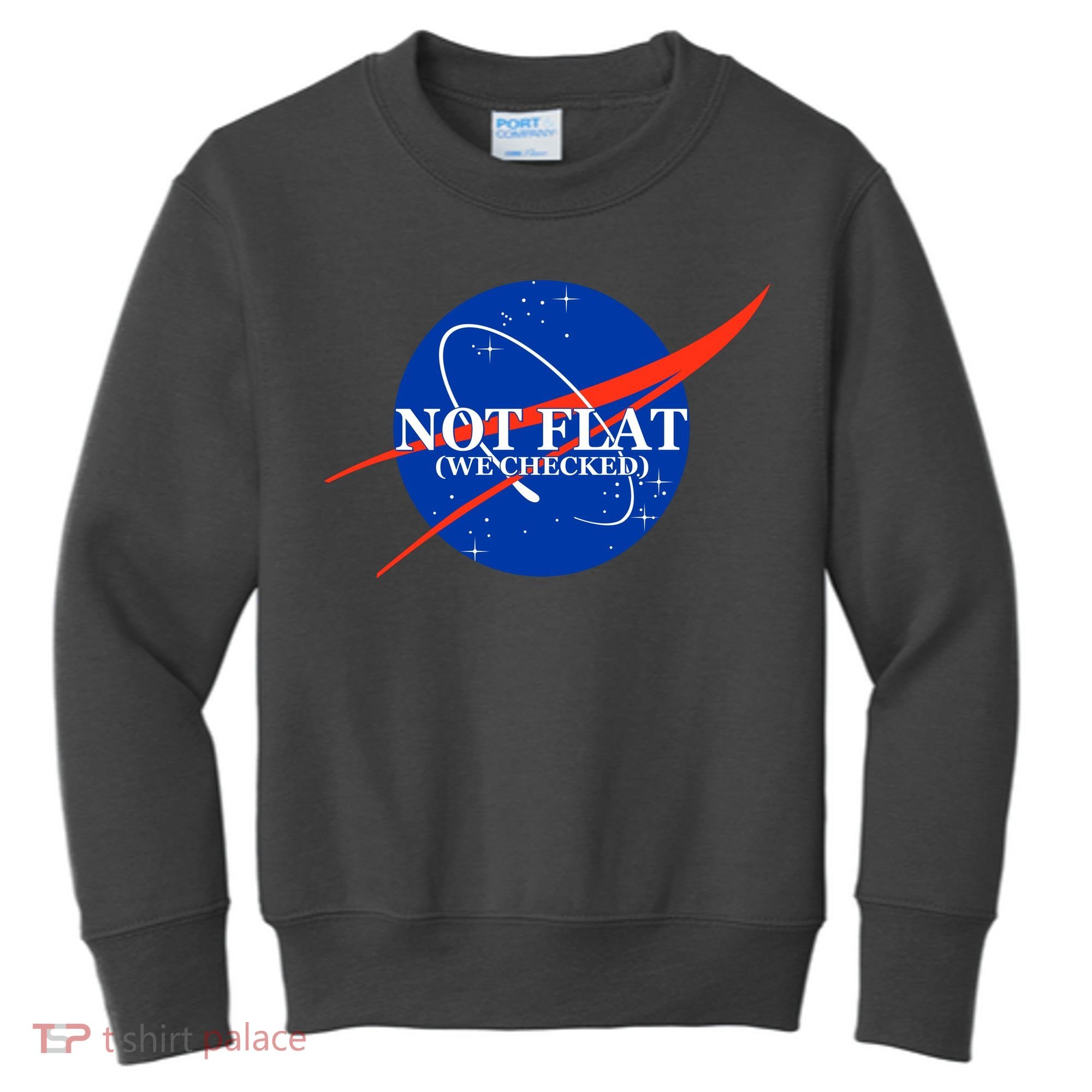 Not Flat We Checked Nasa Anti Flat Earth Kids Sweatshirt