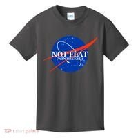 Not Flat We Checked Nasa Anti Flat Earth Kids T-Shirt thumb 0