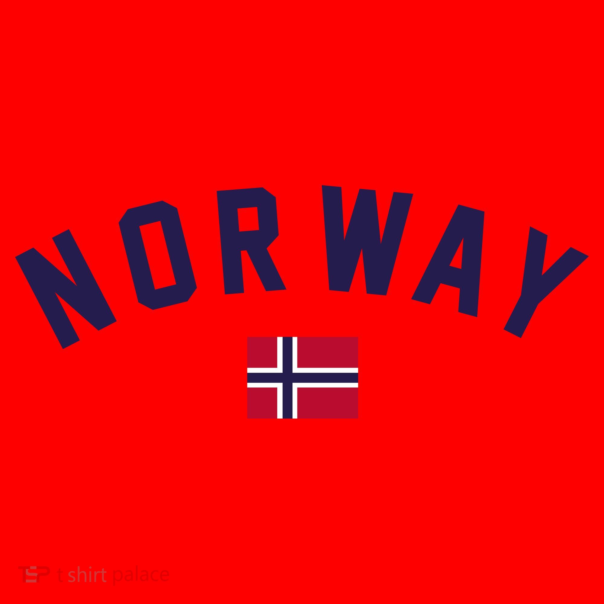 Norway Flag World Class Soccer Santa Hat