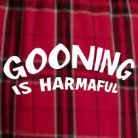 Never Goon Gooning Is Harmaful Women's Flannel Plaid Pajama Pants thumb 2