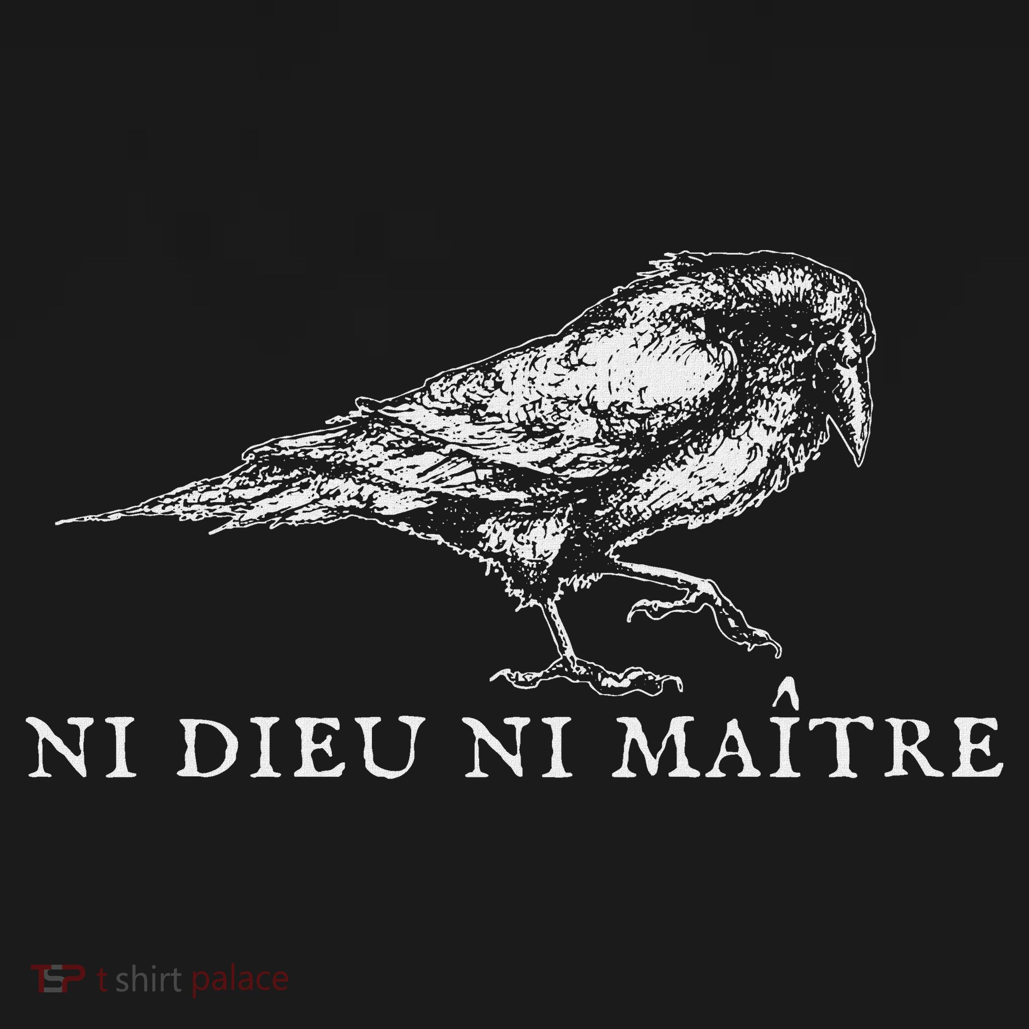 No God No  Ni Dieu Ni Maitre Retro Crow Bird Women's Tank Top