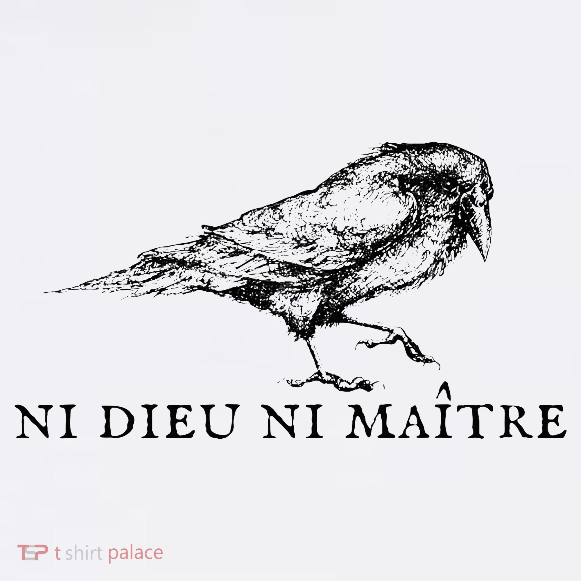 No God No Master Ni Dieu Ni Maitre Women's Hoodie