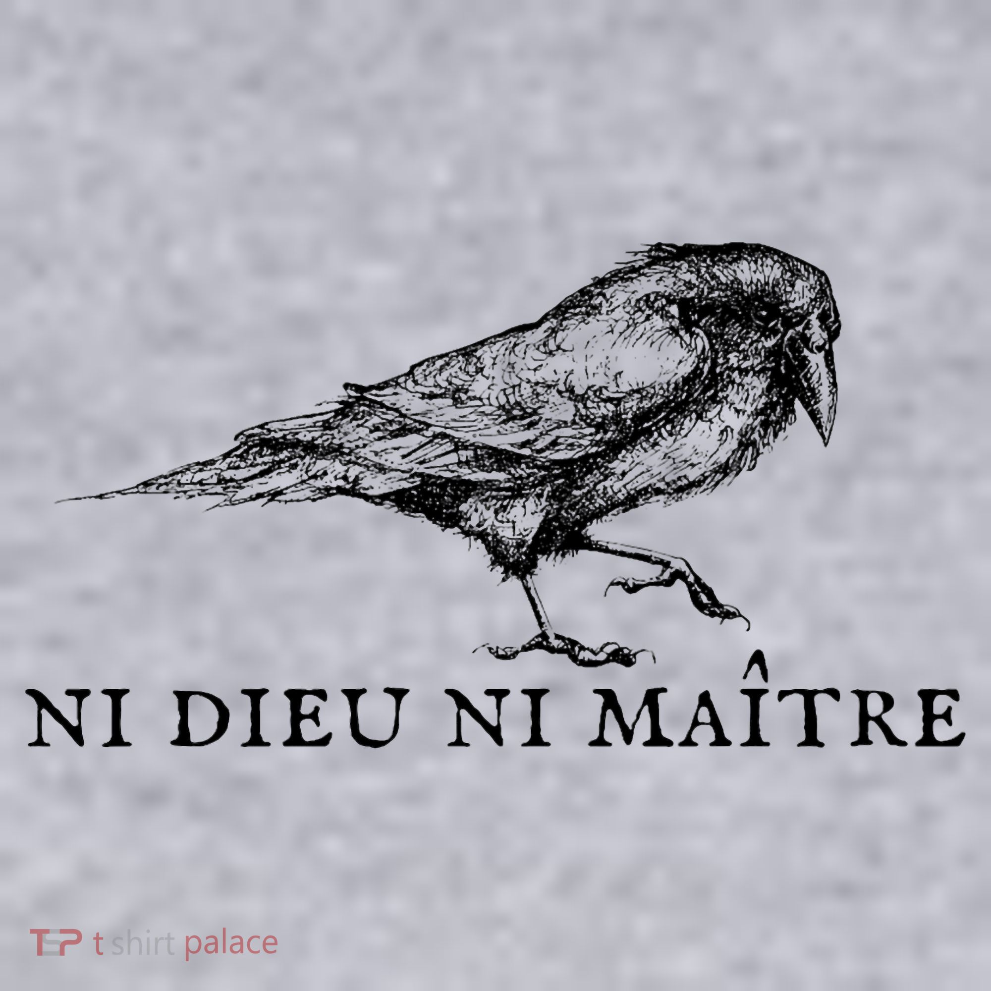 No God No Master Ni Dieu Ni Maitre Retro Crow Bird Women's Sweatshirt
