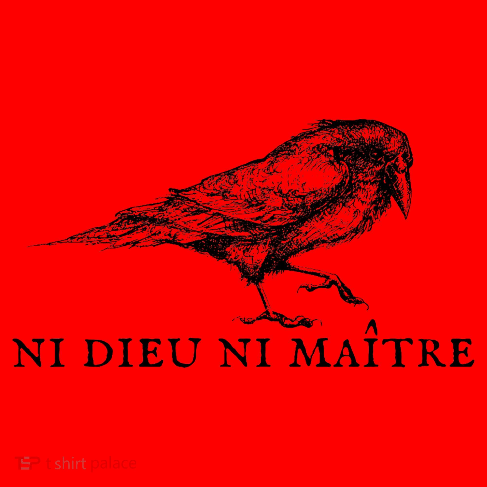 No God No Master Ni Dieu Ni Maitre Retro Crow Bird Santa Hat