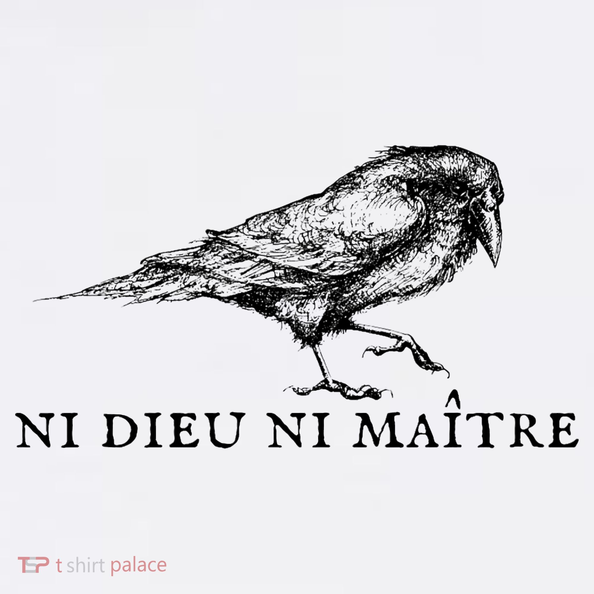 No God No Master Ni Dieu Ni Maitre Retro Crow Bird Women's Tank Top
