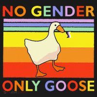No Gender Only Goose Retro Vintage T-Shirt thumb 7