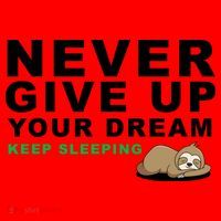 Never Give Up Your Dream Keep Sleeping Funny Sloth Santa Hat thumb 1