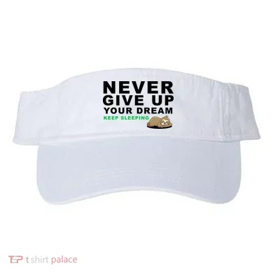 Visor
