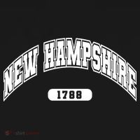 New Hampshire Collegiate Style 1799 Toddler Hoodie thumb 2