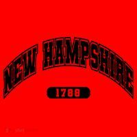 New Hampshire Collegiate Style 1799 Santa Hat thumb 1