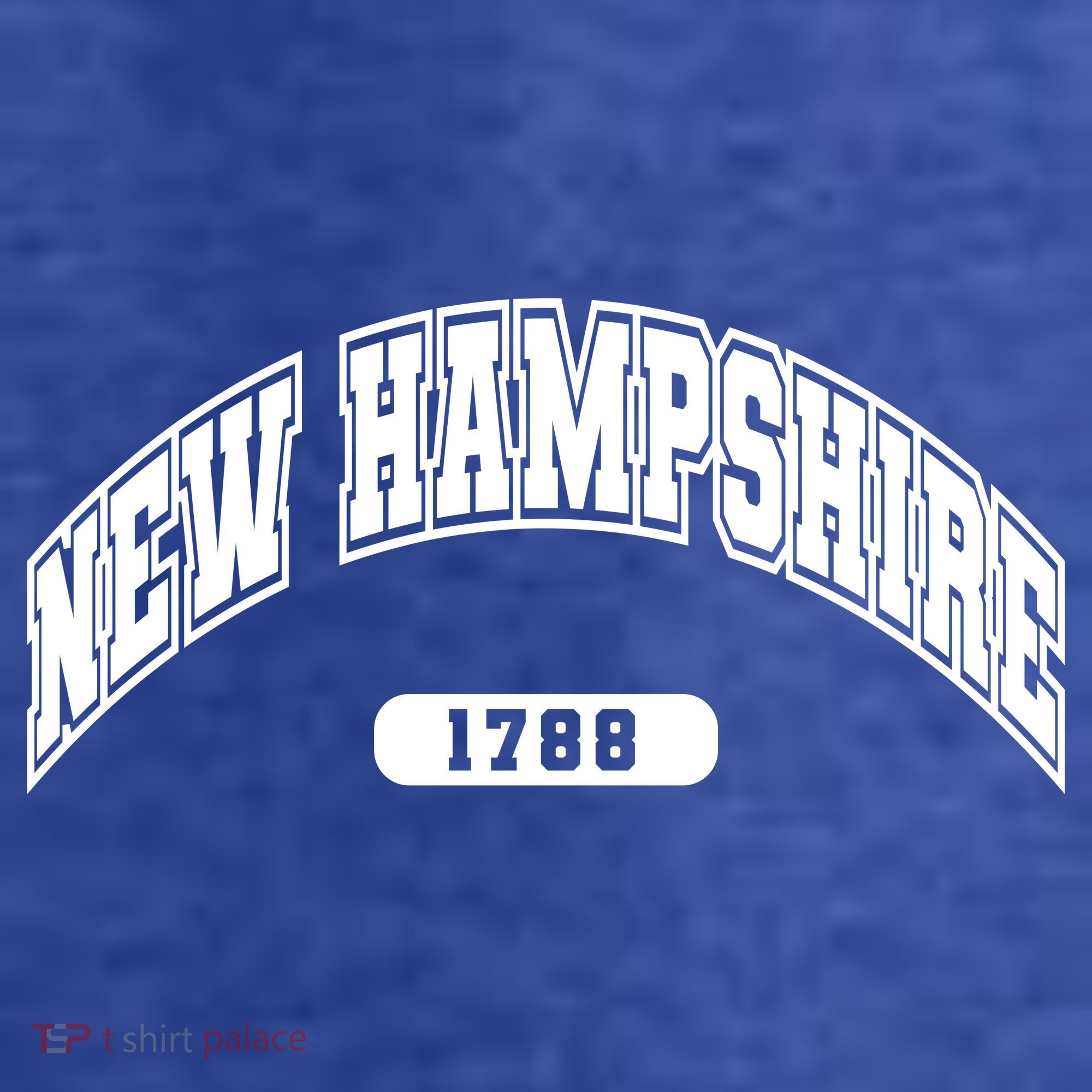 New Hampshire Collegiate Style 1799 T-Shirt