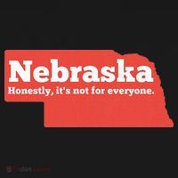 Nebraska Honestly Its Not For Everyone Funny Nebraska Women's Hoodie thumb 2