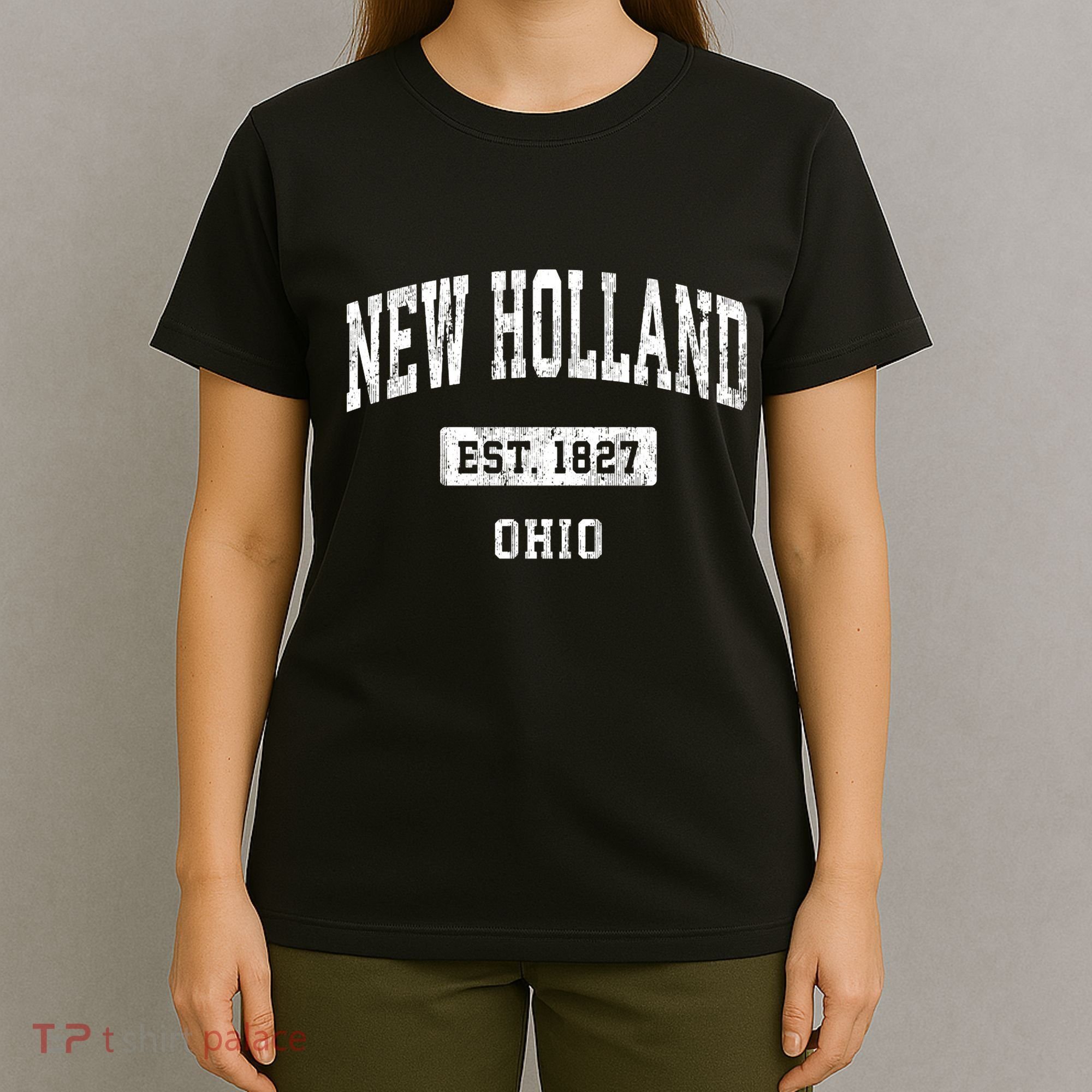 New Holland Ohio Oh Vintage Sports Established T-Shirt