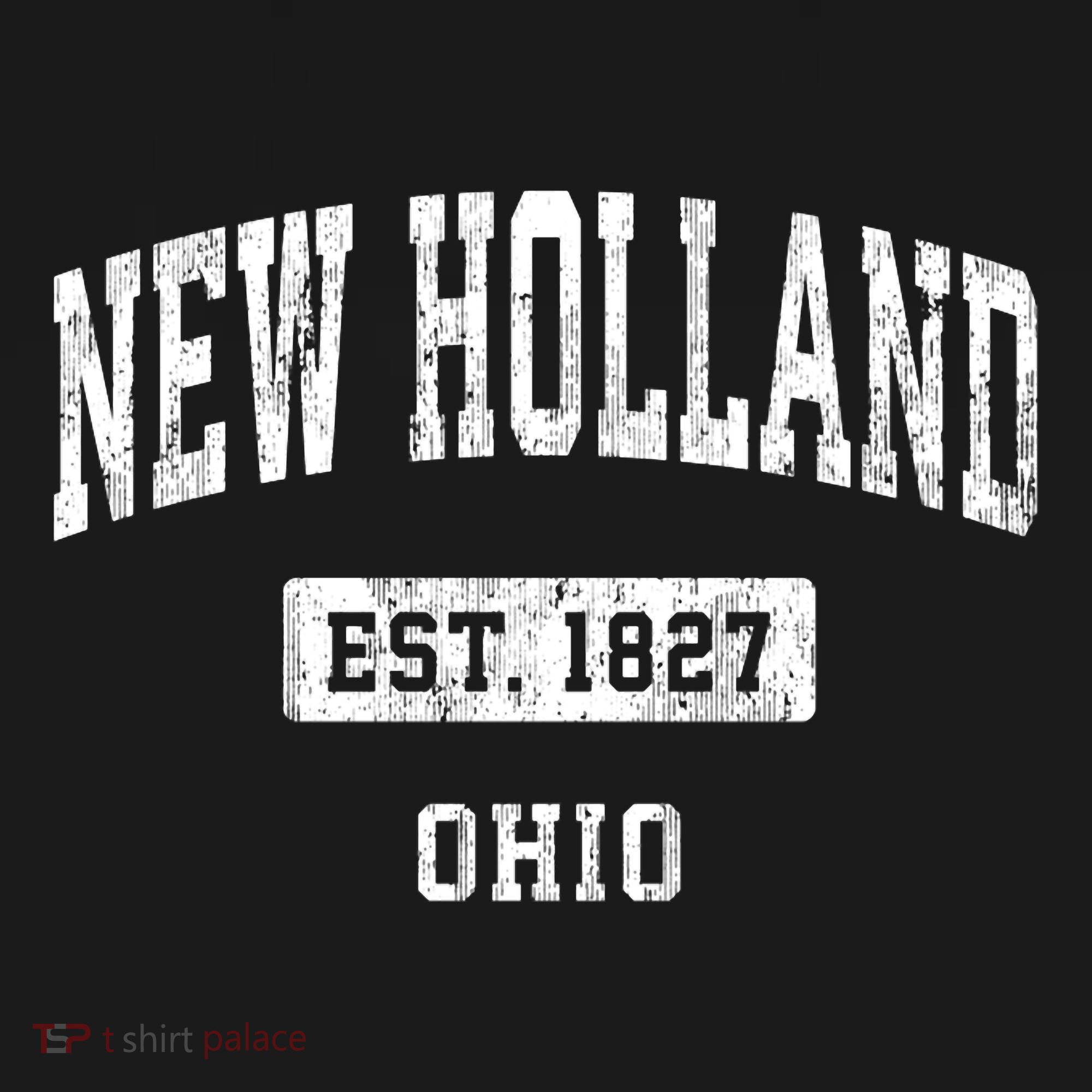 New Holland Ohio Oh Vintage Sports Established T-Shirt