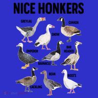 Nice Honker Pun Adult Joke Funny Bird Lover Birdwatcher Gift Sweatshirt thumb 3