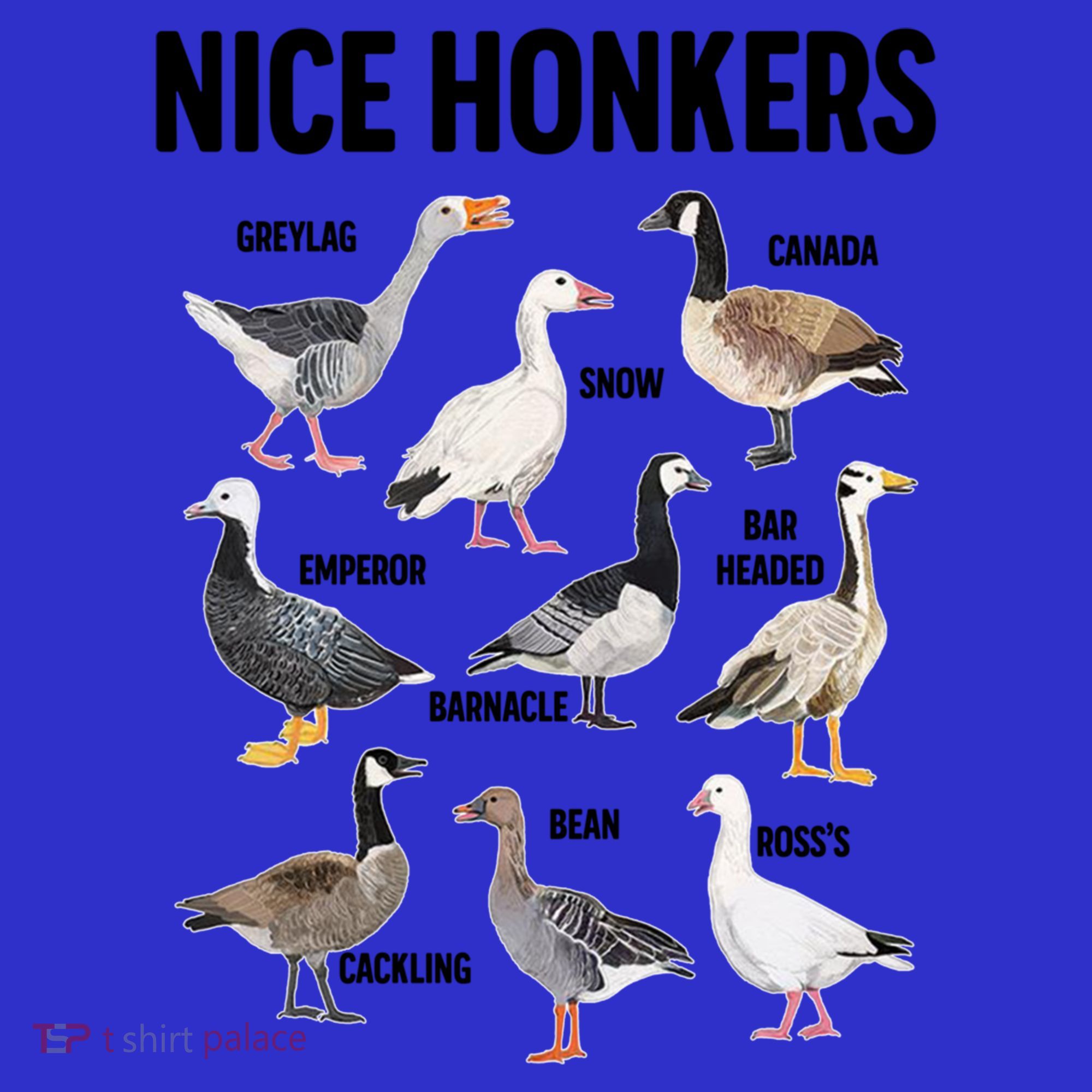 Nice Honker Pun Adult Joke Funny Bird Lover Birdwatcher Gift Toddler Hoodie