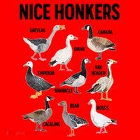 Nice Honker Pun Adult Joke Funny Bird Lover Birdwatcher Gift Santa Hat thumb 1