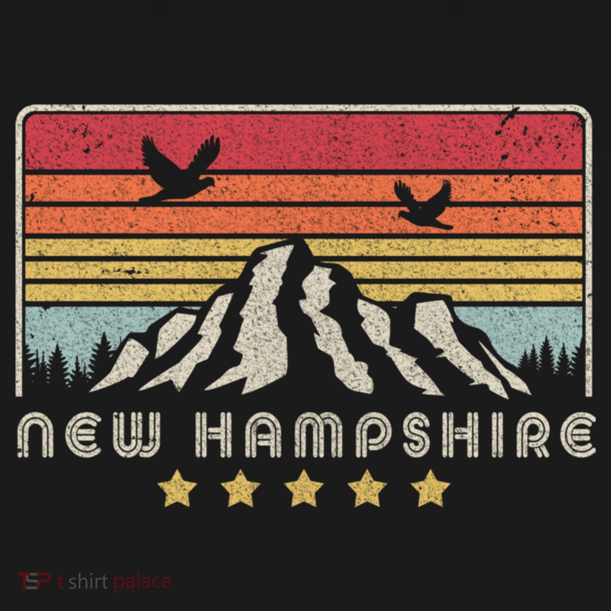 New Hampshire Shirt. Retro Style NH, USA T-Shirt