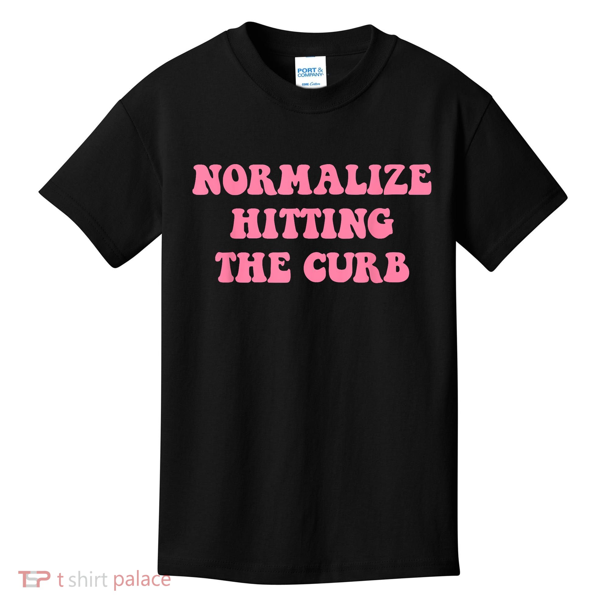 Normalize Hitting The Curb Funny Apparel Kids T-Shirt
