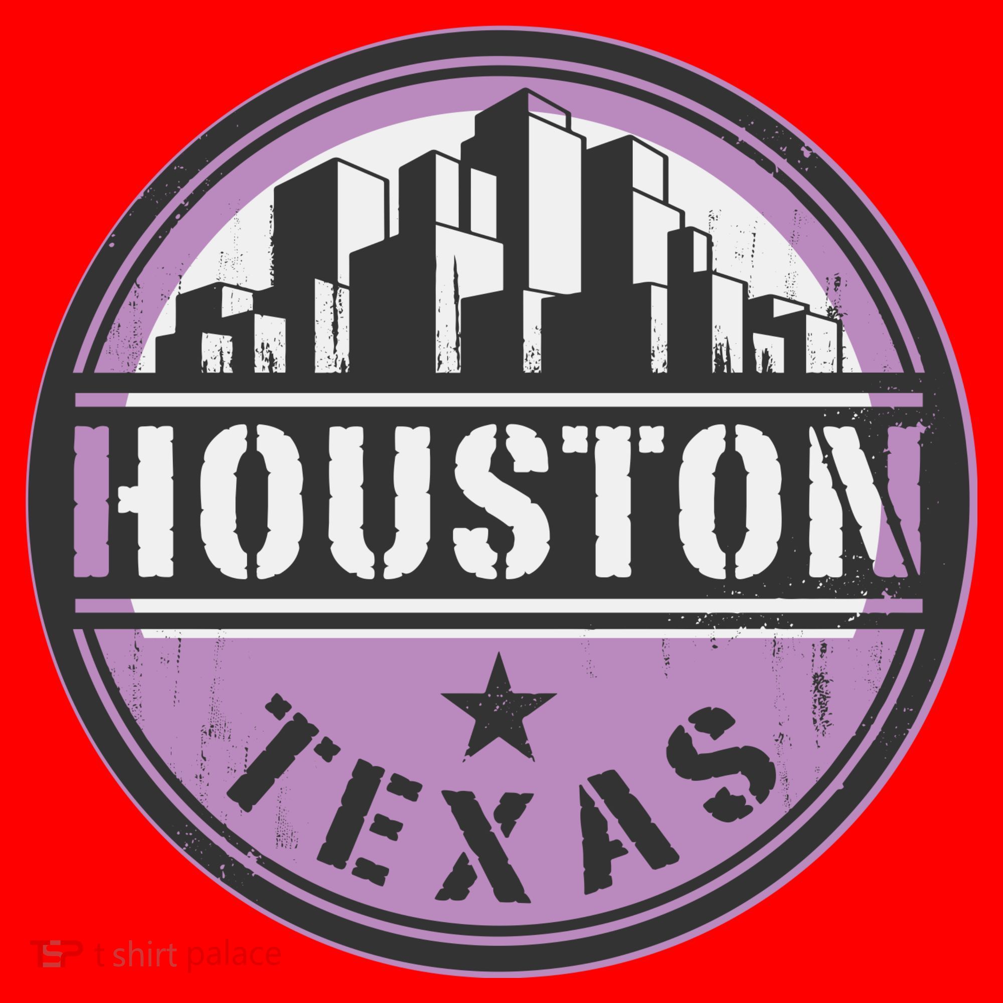 Neon Houston Texas Logo Santa Hat