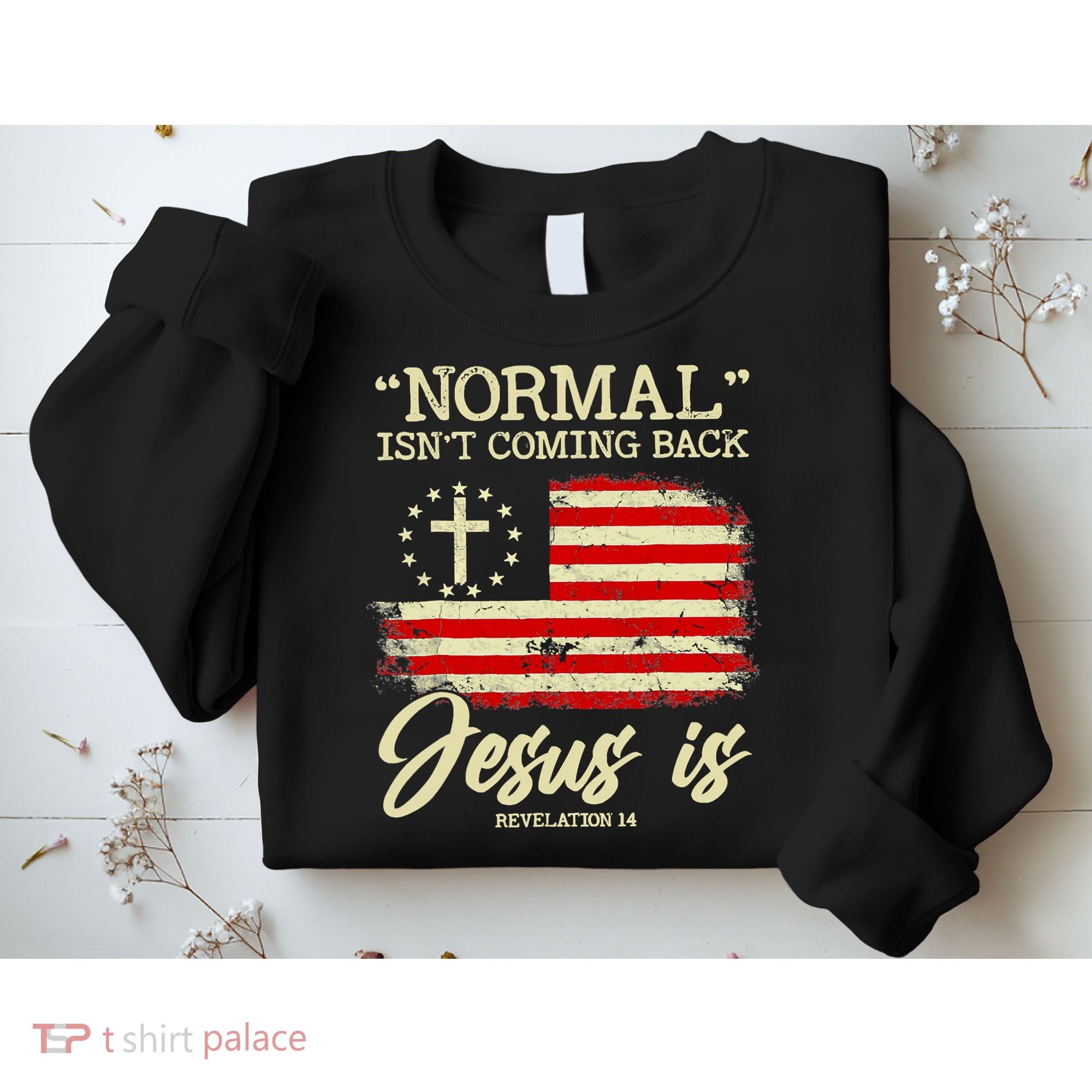 Normal Isn't Coming Back But Jesus Is Revelation 14 Costume Sweatshirt