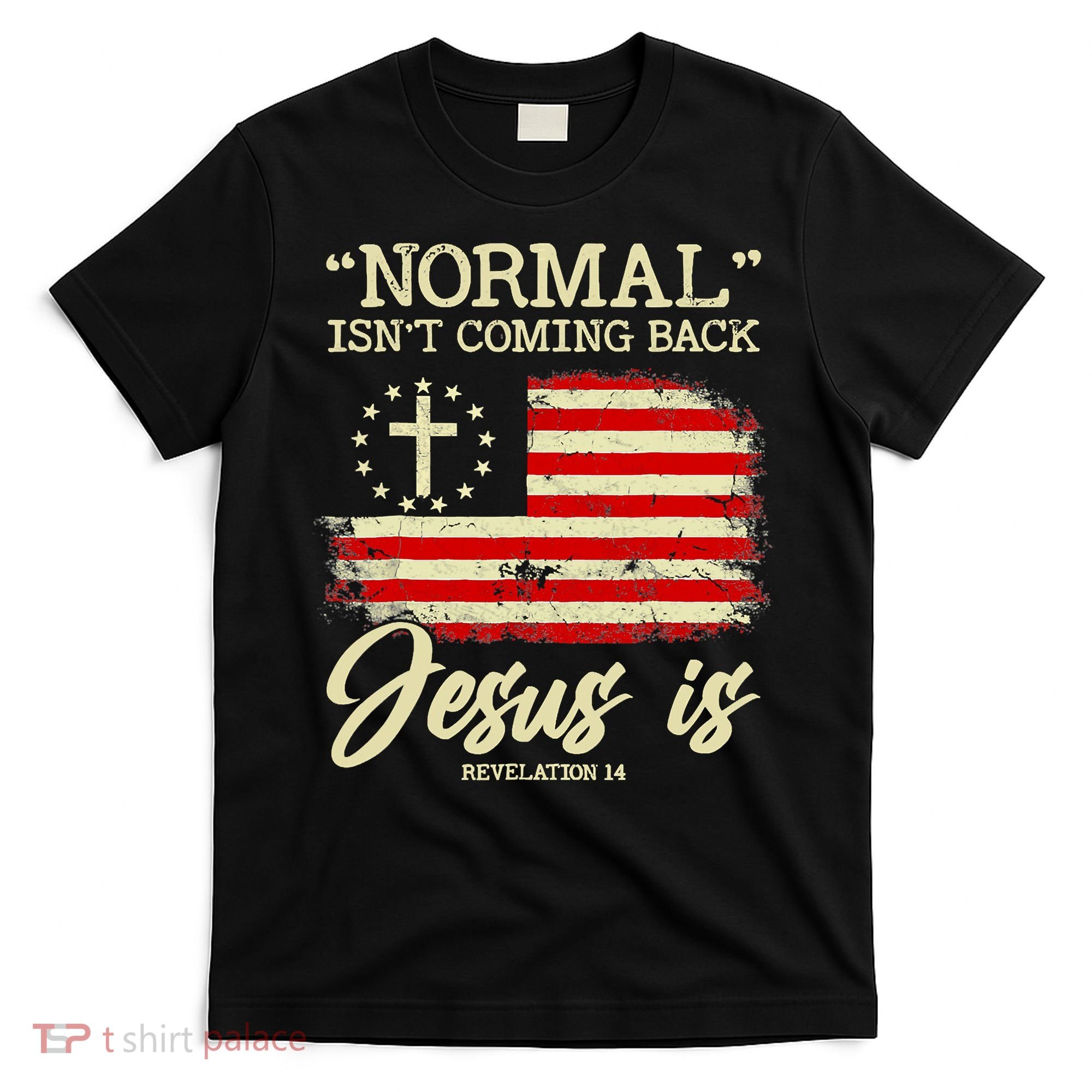Normal Isn't Coming Back But Jesus Is Revelation 14 Costume T-Shirt