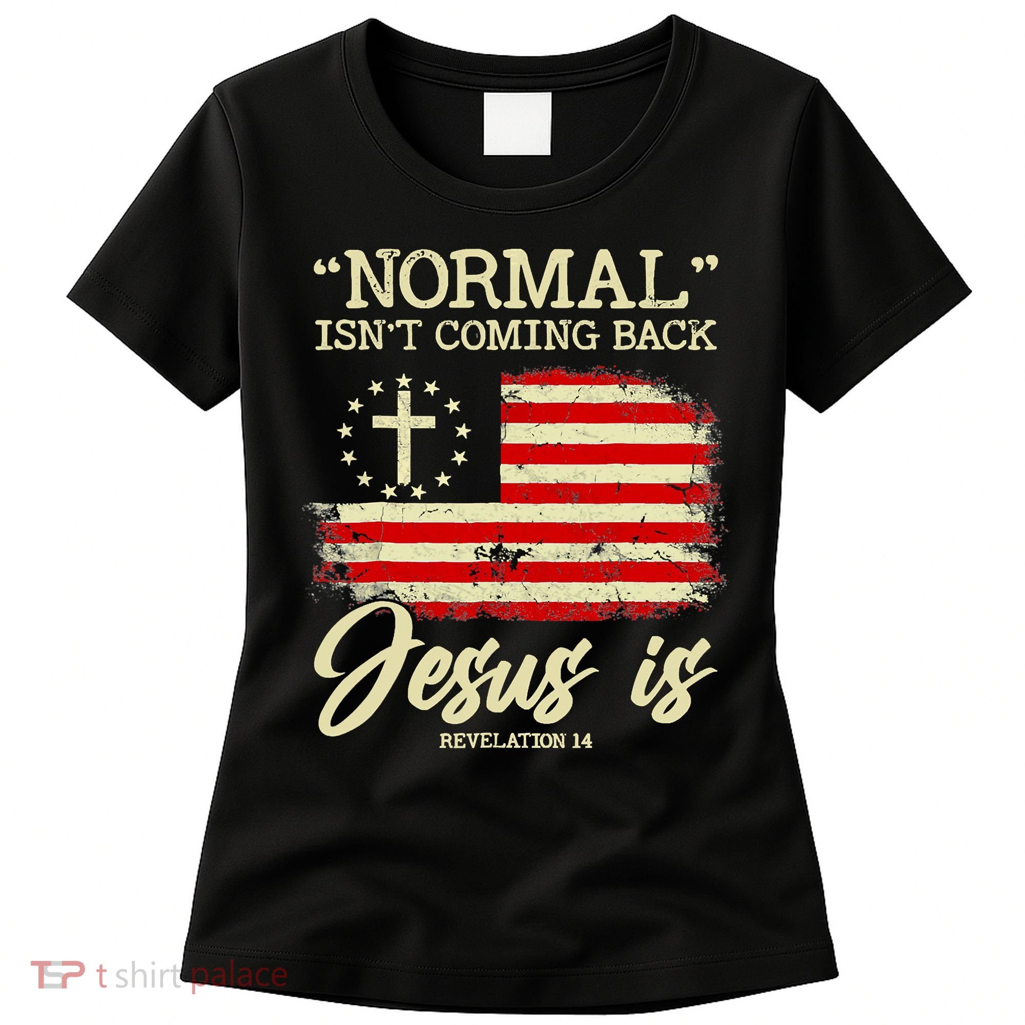 Normal Isn't Coming Back But Jesus Is Revelation 14 Costume Women's T-Shirt