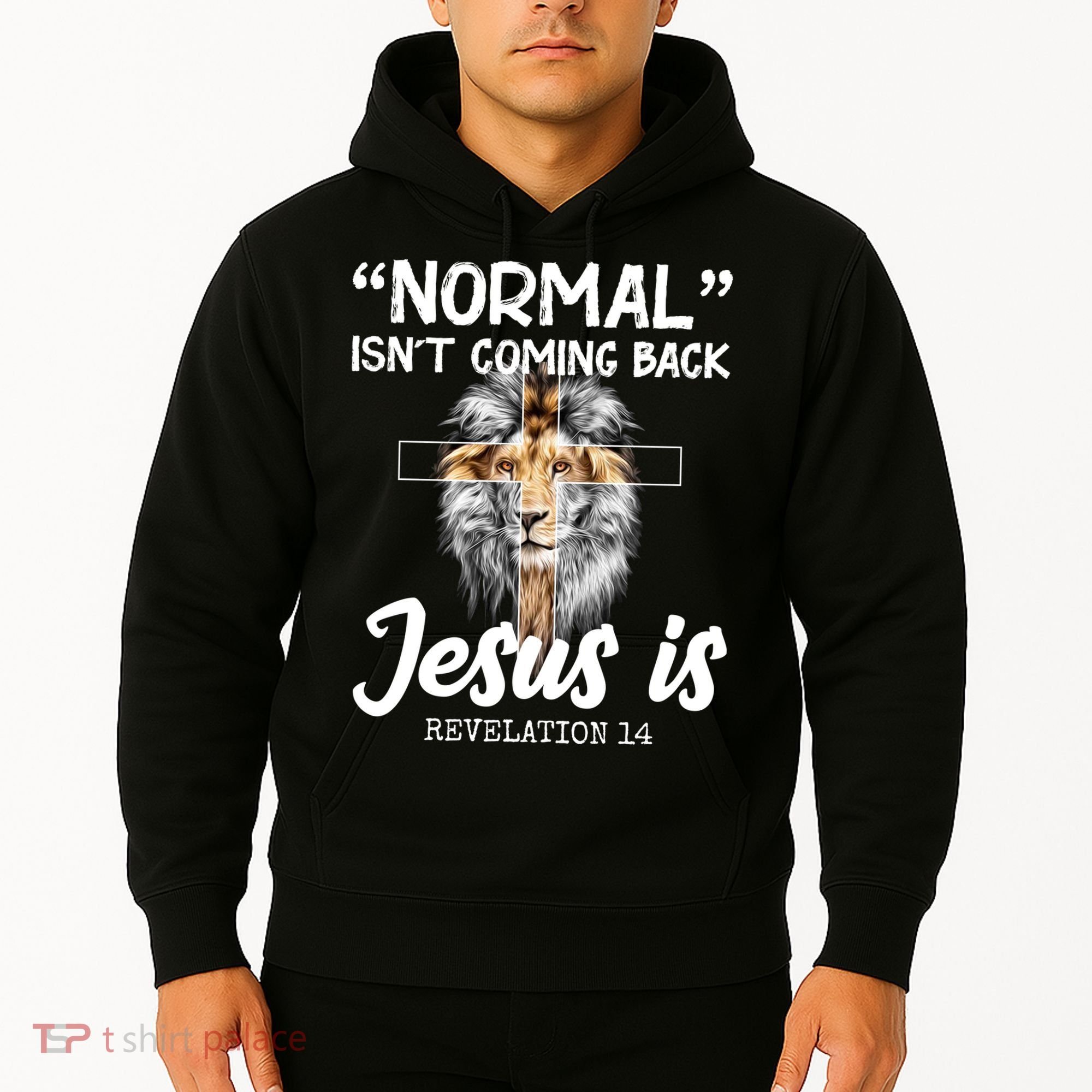 Normal Isn't Coming Back Jesus Is Revelations 14 Hoodie