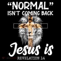 Normal Isn't Coming Back Jesus Is Revelations 14 Hoodie thumb 7
