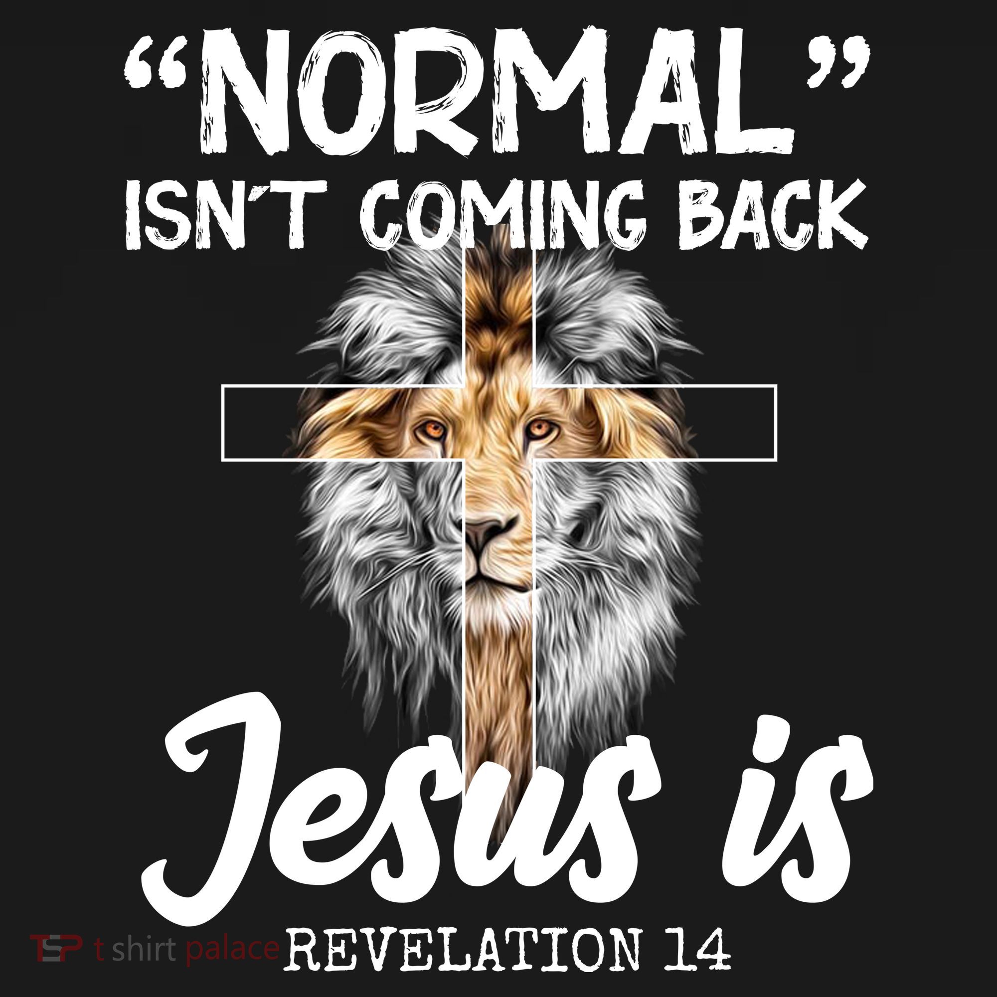 Normal Isn't Coming Back Jesus Is Revelations 14 Toddler Hoodie
