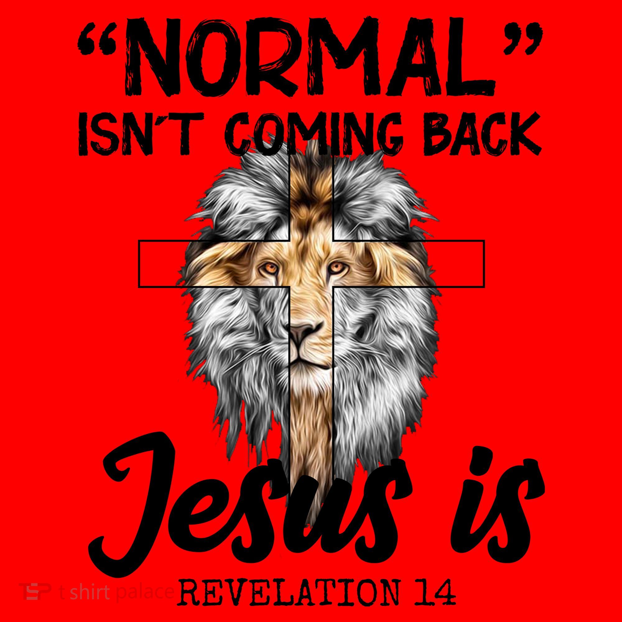 Normal Isn't Coming Back Jesus Is Revelations 14 Santa Hat