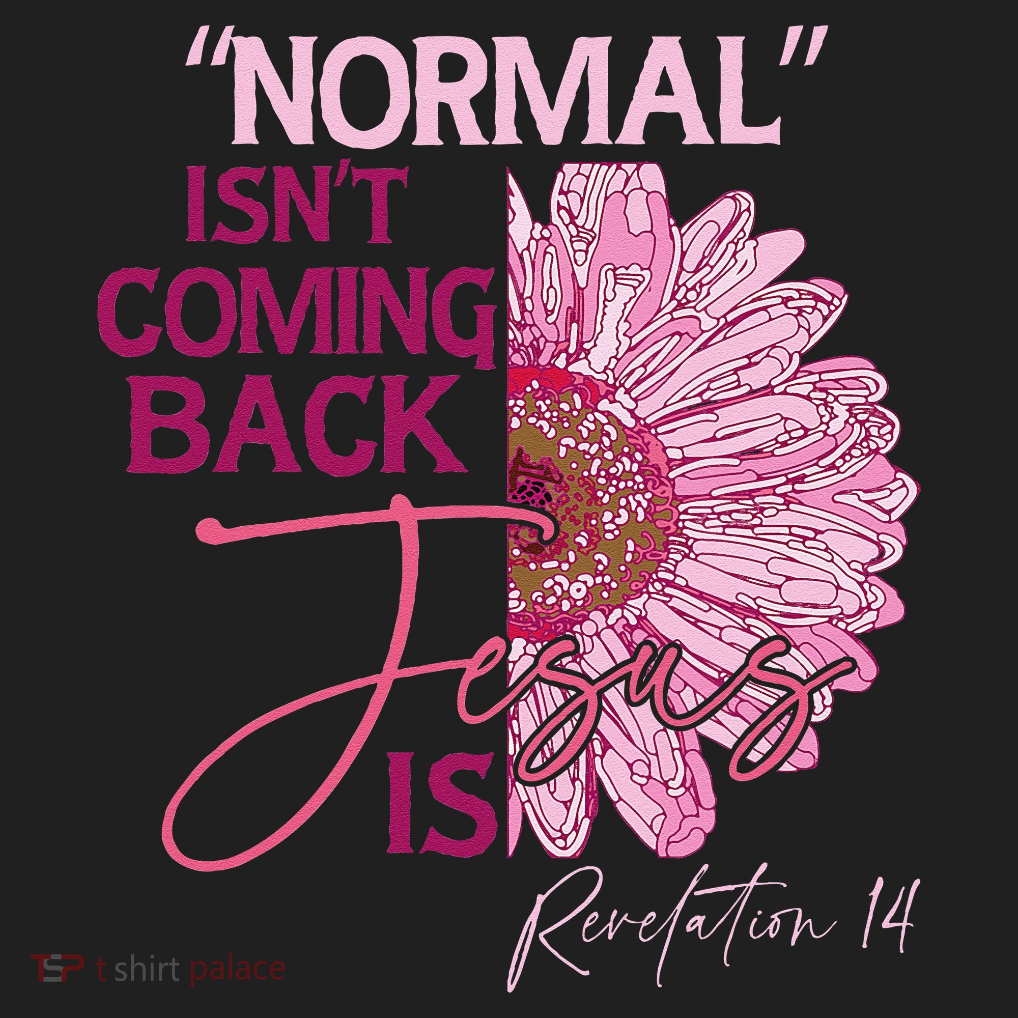 Normal Isnt Coming Back Jesus Is Women's Sweatshirt