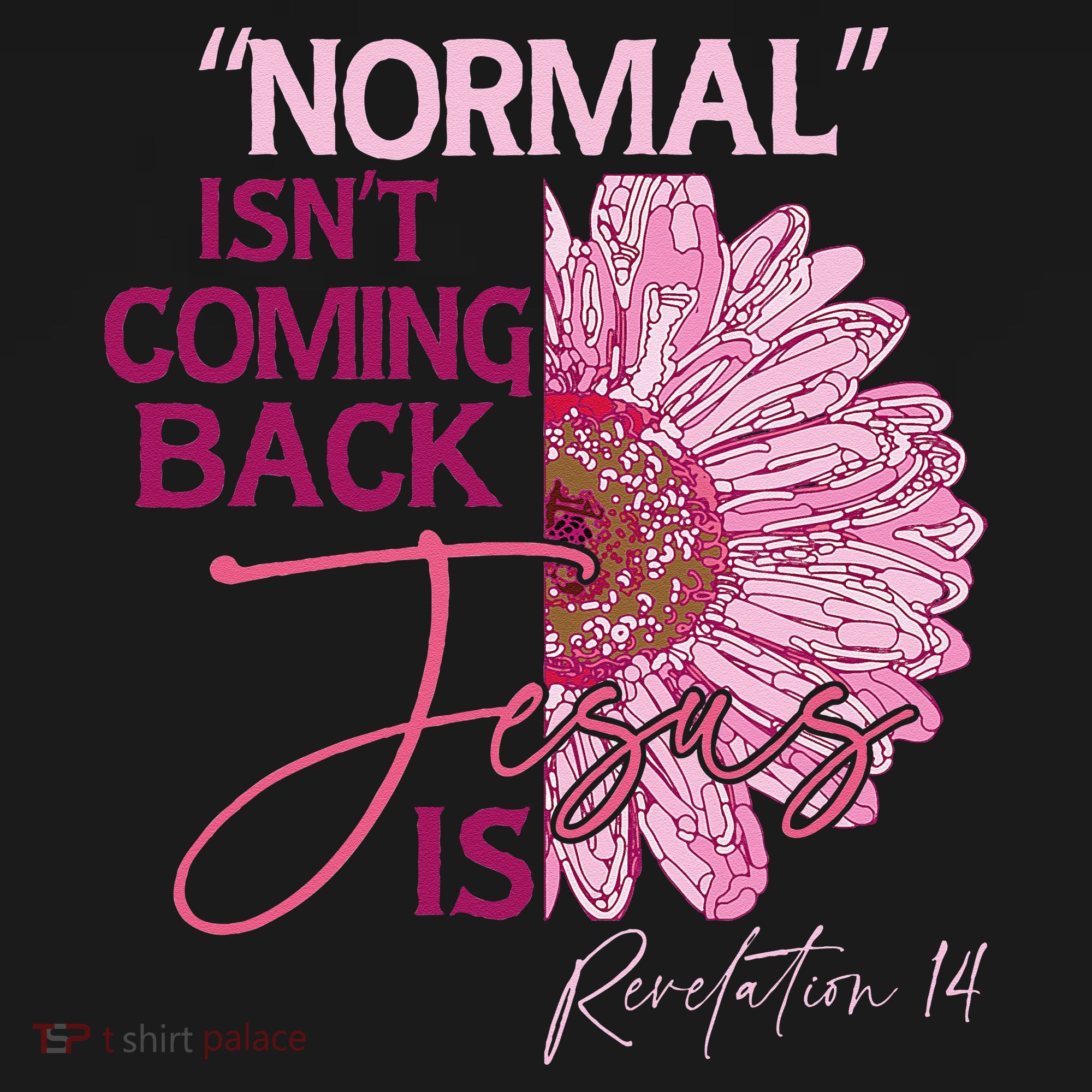 Normal Isnt Coming Back Jesus Is Toddler Sweatshirt