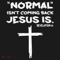 Normal Isnt Coming Back Jesus Is Sweatshirt thumb 3