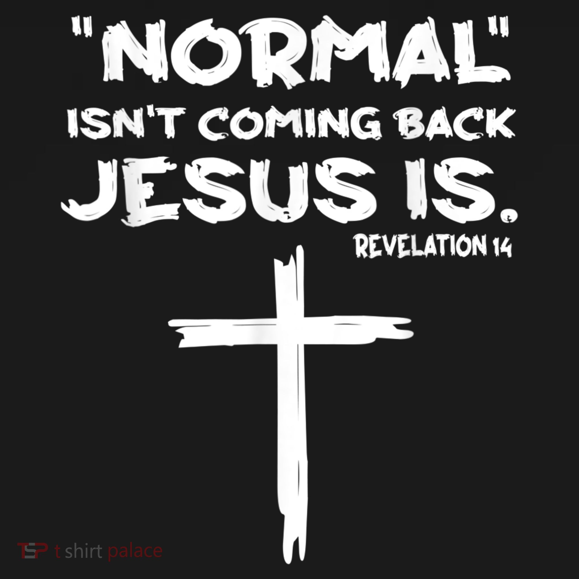 Normal Isnt Coming Back Jesus Is Sweatshirt