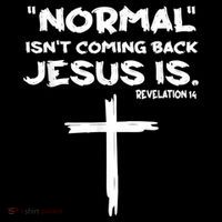 Normal Isnt Coming Back Jesus Is Ornament thumb 1