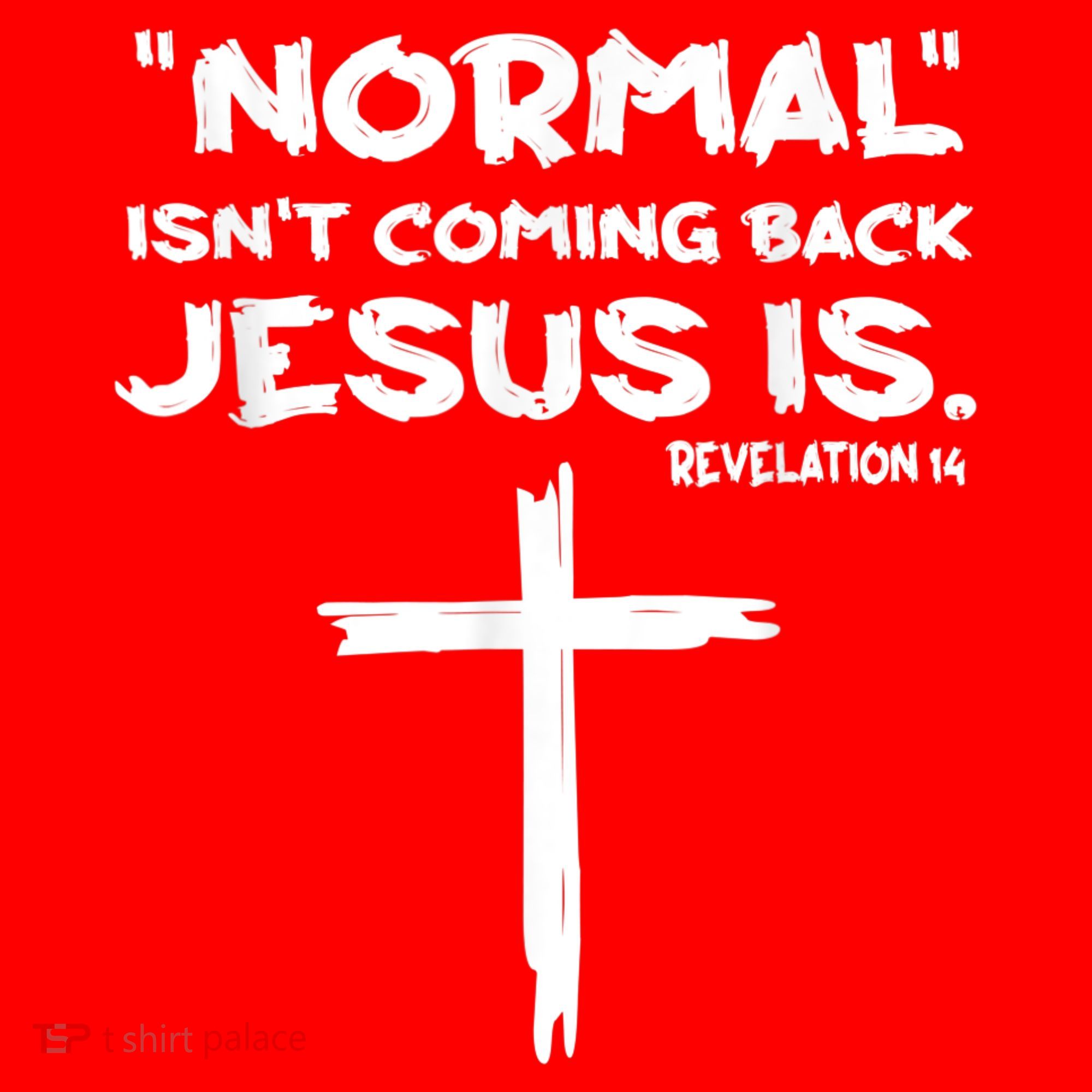 Normal Isnt Coming Back Jesus Is Santa Hat
