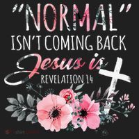 Normal Isnt Coming Back But Jesus Is Revelation 14 Flower Beanie thumb 2